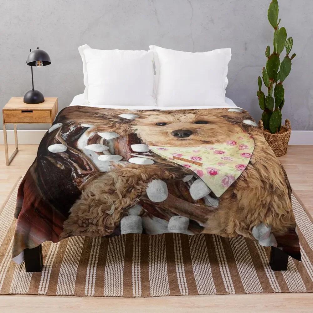 �Ϳ��� ī��Ǫ ������ ���, ���� ħ�� Ŀ��, ���� ���� ���� ���� ���